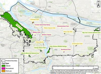 Plant Community Composition and Biodiversity Patterns in Urban Parks of Portland, Oregon